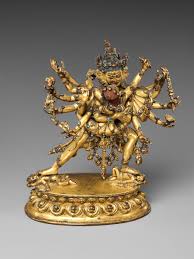 Image result for Triumfetta amuletum