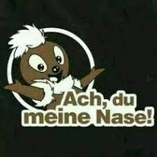 Weitere ideen zu dynamo dresden, dresden, ich bin immer für dich da. Die 130 Besten Ideen Zu Dynamo Dresden Dynamo Dresden Dynamo Dresden