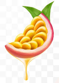 Image result for Coula