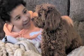 Fundraiser by Jade Morrison : Donate to help fund an emotional assistance  dog for Kingston