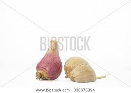 Seperti yang telah dikatakan sebelumnya bawang putih tunggal dan jahe merah dapat dikombinasikan untuk membentuk sebuah ramuan guna menyembuhkan penyempitan pembuluh darah pada jantung. Natural Fresh Shallot Image Photo Free Trial Bigstock