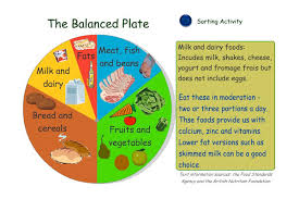 Human Biology And Health Balanced Diet Clip Art Library