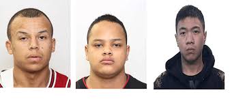 RCMP searching for suspects in Surrey home invasion and shooting