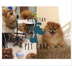 399 likes · 6 talking about this · 117 were here. All Star Pet Care Home Facebook