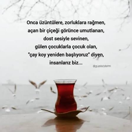 Onca üzüntülere, zorluklara rağmen, açan bir çiçeği görünce umutlanan, dost  sesiyle sevinen, gülen çocuklarla çocuk olan, "çay koy yeniden başlıyoruz"  diyen, insanlarız biz... Günaydın hayırlı sabahl