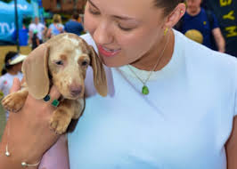 Well-earned retirement for cycle training champion