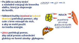 Image result for cukrovka hodnoty tabulka