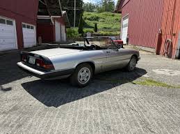 Image result for Avorio 1984 Alfa-Romeo