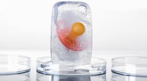 A Healthy Curiosity Should You Have Your Eggs Counted