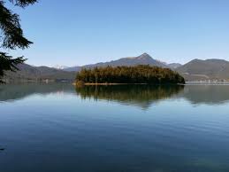 Buyersguide.org has been visited by 1m+ users in the past month Naturschutz Und Wildnis In Europa Insel Sassau Ein Naturwaldreservat Im Oberbayerischen Walchensee