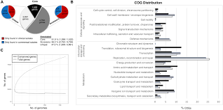 frontiers comparative genomic analysis of staphylococcus