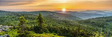 Bayerischer wald 1 is situated in schwibleinsberg and offers a terrace with a shower. Wandern Im Bayerischen Wald Wanderkompass De