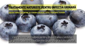 O infectie urinara poate avea in cazul copiilor si simptome la nivelul aparatului digestiv, ca varsaturile, diareea sau durerile la nivelul abdomenului inferior. Tratamente Naturiste Pentru InfecÈ›ia UrinarÄƒ Youtube