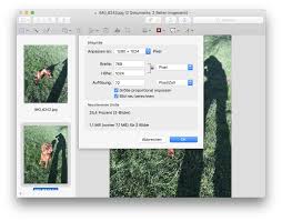 Mit hilfe von apps oder eines kurzbefehls ist das aber problemlos. Anleitung Schnell Mehrere Fotos Unter Macos Verkleinern Tutonaut De