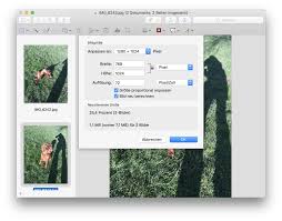 Wollen sie ein jpg verkleinern, können sie entweder die bildgröße verkleinern oder auch die dateigröße. Anleitung Schnell Mehrere Fotos Unter Macos Verkleinern Tutonaut De