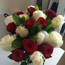 My mom made me second guess myself a little bit, but i'm mostly excited. Roses From My Boyfriend So Cute Rose Flowers Cute