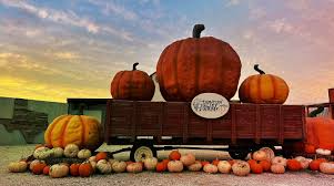 Denton Valley Farms | Clyde TX