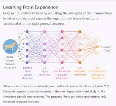 Graphic Illustrating How Information Bottleneck Artificial Intelligence Technology Machine Learning Artificial Intelligence Artificial Intelligence Algorithms