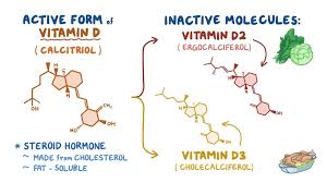 Vitamin D: Video, Causes, & Meaning | Osmosis