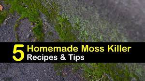 Spray the solution onto the affected area and let it sit for 15 to 20 minutes before you wash it off. Homemade Moss Killer Recipes 5 Natural Tips For Killing Moss