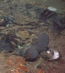 Image Result For Titanic Wreck Bodies Human Titanic Wreck Rms Titanic Titanic Facts