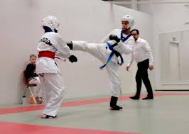 Daniel Sorvarille jaettu kulta Han Moo Don Jyväskylä Openista