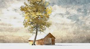 Image result for fotosketcher