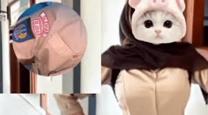 Link Pramuka Sleman 1 Menit 44 Detik Viral, Apa Isinya?