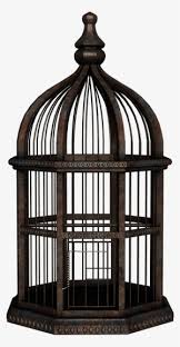 All files include svg, dxf, eps and png files. Bird Cage Png Free Hd Bird Cage Transparent Image Pngkit