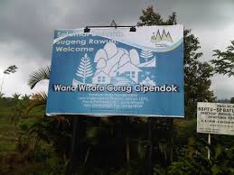 Curug cipendok adalah air terjun dengan ketinggian 92 meter yang terletak di lereng gunung slamet. Curug Cipendok Publications Facebook