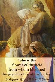 Birthday Message For Mother Mary Quote Of The Day The Feast Of The Nativity Of The Blessed Virgin Mary She Is The Flower Of The St Augustine Quotes Blessed Mother Mary Early Church Fathers