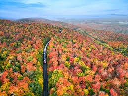 Profile for Staying by the Lakeside Cottages