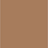 Tumbleweed hex #deaa88 rgb 222, 170, 136 cmyk 0, 23, 39, 13. 1
