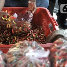 Nak terhibur alhamdulillah, nak ora tak tambah berusaha #sopirtruk_. Harga Cabai Bikin Desember 2020 Inflasi 0 45 Persen Bisnis Liputan6 Com