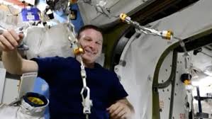 She holds the record for the longest uninterrupted spaceflight by a european astronaut. Iss Astronaught Samantha Cristoforetti Dons Star Trek Uniform For Spacex Dragon S Arrival Daily Mail Online