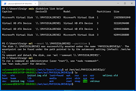 It provides you with a windows version of the bash shell and a compatibility layer that permits many linux programs to run natively on your windows machine. You Can Now Access Linux Filesystems In Windows 10 And Wsl 2 Insider Windows 10 Forums