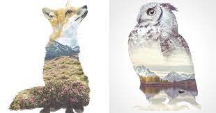 Check spelling or type a new query. We Take Double Exposure Animal Portraits To Escape The Daily Routine Bored Panda