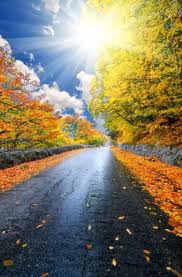 Image result for wallpaper