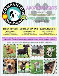 Maybe you would like to learn more about one of these? Cpr Dogs Cprdogs Twitter