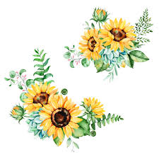 Beautiful Floral Collection With Sunflowers Leaves Branches Fern Watercolor Sunflower Watercolor Bouquet Sunflower Drawing