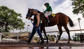 Stay up to date on the latest races with racenet. Study Up Free Past Performances Horse Racing Nation Facebook
