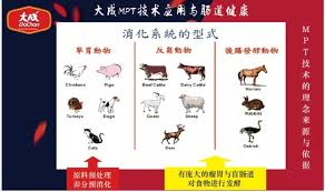 Great wall nutrition technologies s/b. Great Wall Nutrition Technologies S B Publicaciones Facebook