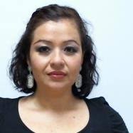 Portal de Enlace Académico