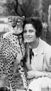 Ровольт, райнбек в гамбурге 1996. Pin Auf Celebrities And Animals