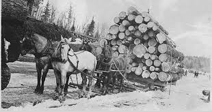 نتیجه جستجوی لغت [workhorses] در گوگل