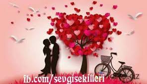 Sevgi Şekilleri