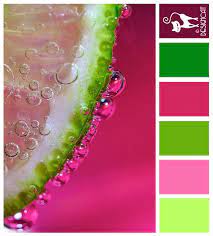 The hex codes can be found underneath each of the color swatches. Color Inspiration Pink Lime Zest Hot Pink Green Lime Pastel Designcat Colour Inspirat Codesign Magazine Daily Updated Magazine Celebrating Cre Green Colour Palette Pink Color Schemes Color Inspiration