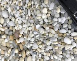 Hình ảnh về Sỏi biển xám