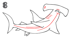 How To Draw A Hammerhead Shark Step By Step Hammerhead Shark Shark Drawing Shark Painting