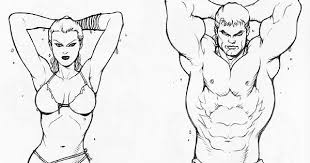 Drawing tutorials & references on instagram: Male And Female Torso Muscle Reference For Artists The Artist Seems To Be Using Superhero Proportions Especially On The Male Imgur